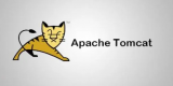 tomcat