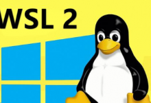 WSL2 + Docker Desktop:Windows 下的完美 Java 开发环境-MACS Dev Hub